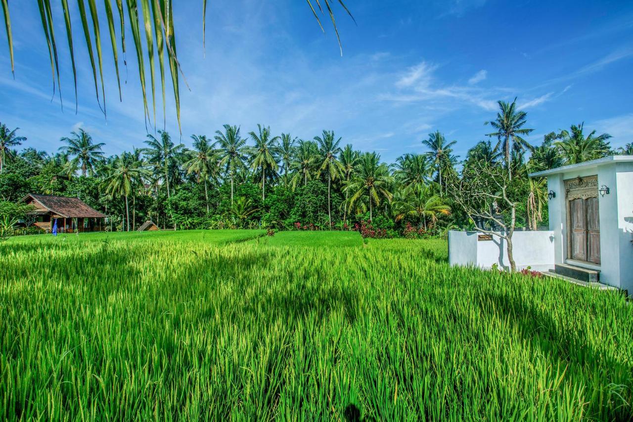 Tamyang Ubud Villas Exterior photo